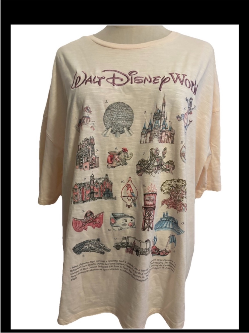 Disney Shirt 2025 WDW Attractions Icons Embroidered Cream Adult Size 1x